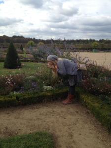 10678719_10153176320288465_4228978024340393316_n